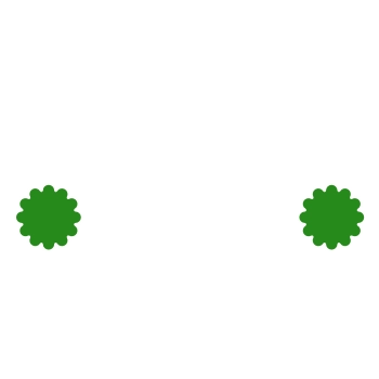 House Icon White
